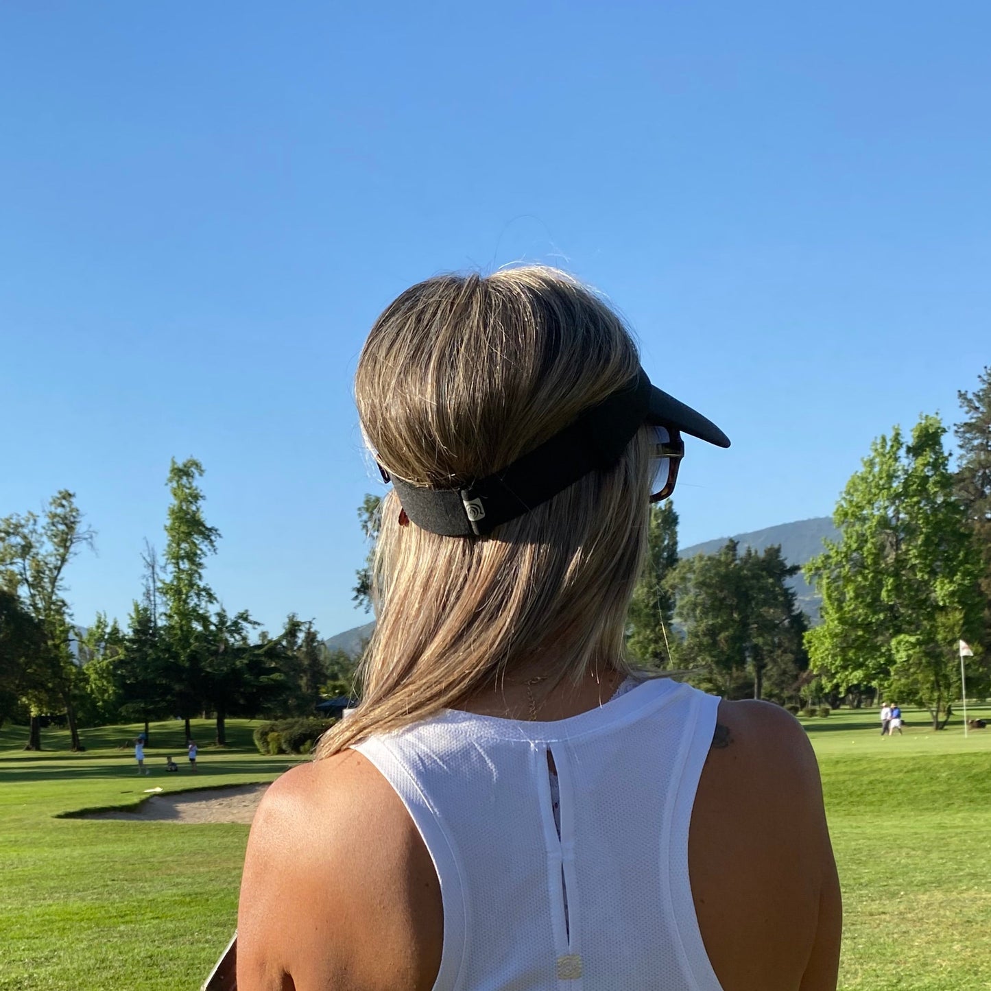Visera Pía